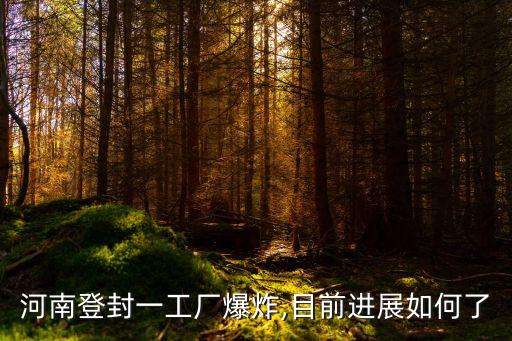河南登封一工廠爆炸,目前進(jìn)展如何了
