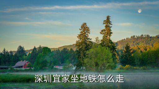 田貝地鐵站,全程8元站點:龍城廣場地鐵站吉祥站大運站蓮塘站竹腳站