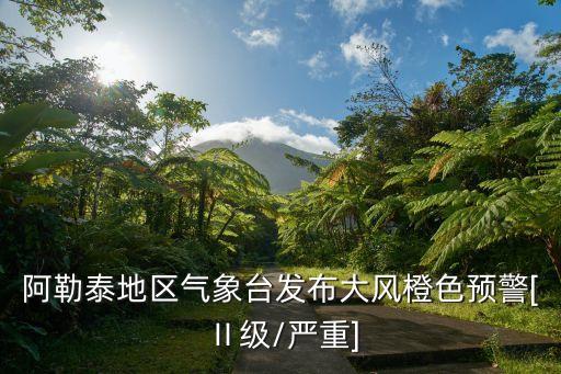 阿勒泰地區氣象臺發布大風橙色預警[Ⅱ級/嚴重]