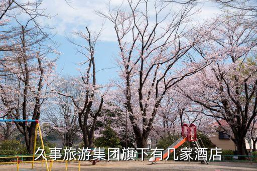 久事旅游集團旗下有幾家酒店
