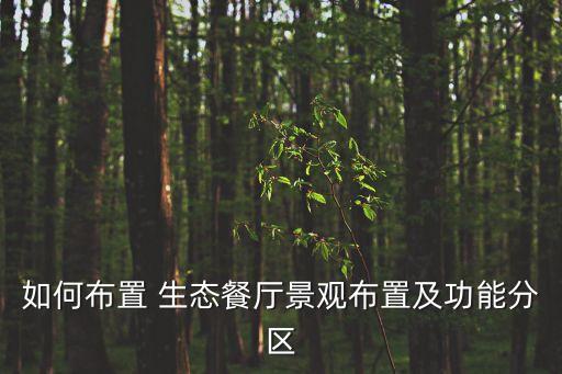 生態餐廳,北京生態智能餐廳哪家好_苑飯香生態餐廳老板是誰