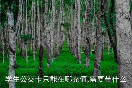 學生卡充值,學生卡怎么用電腦充值?