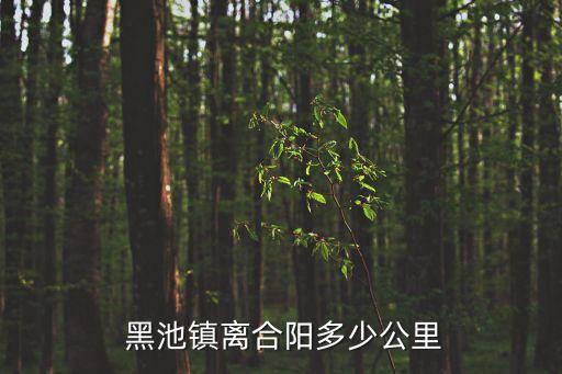黑池鎮(zhèn),黑池之名與書圣王羲之有關(guān)?