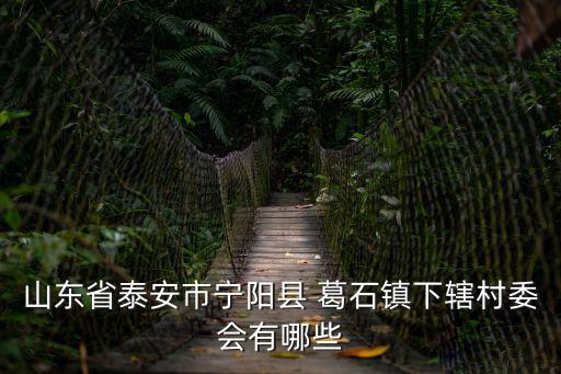 山東省泰安市寧陽(yáng)縣 葛石鎮(zhèn)下轄村委會(huì)有哪些