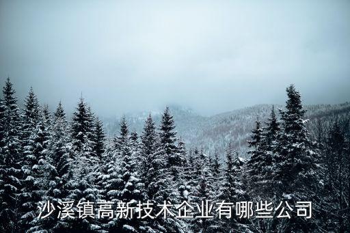 沙溪鎮高新技術企業有哪些公司