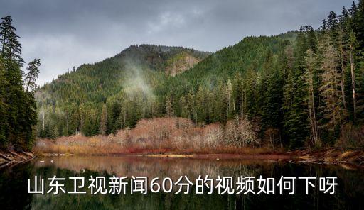 山東衛視新聞60分的視頻如何下呀