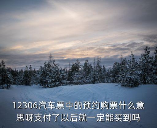 12306汽車票中的預(yù)約購票什么意思呀支付了以后就一定能買到嗎