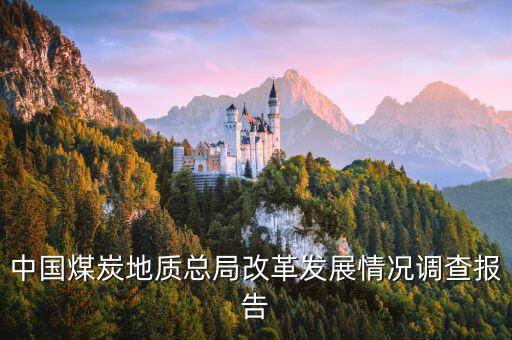 中國煤炭地質(zhì)總局改革發(fā)展情況調(diào)查報告