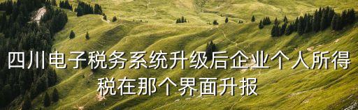 四川電子稅務系統(tǒng)升級后企業(yè)個人所得稅在那個界面升報