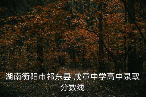 湖南衡陽市祁東縣 成章中學高中錄取分數線