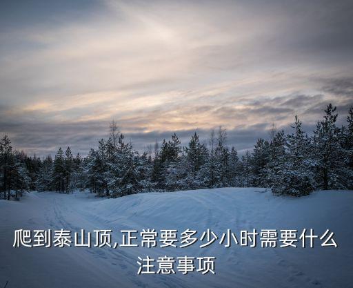 泰山中天門到山頂要多久,從中天門步行到山頂需多長時間?