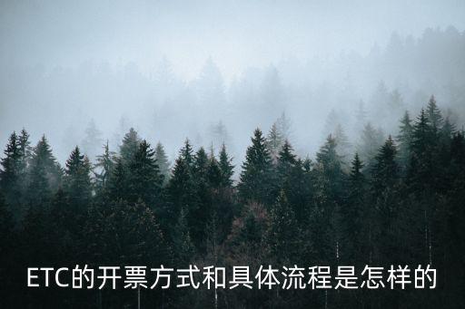 etc票根網,高速公路etc收費怎么開?