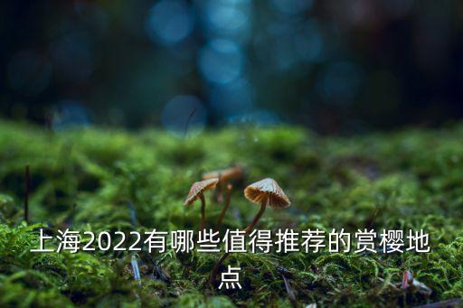 青海路,從美蘭湖地鐵站出站怎么走?