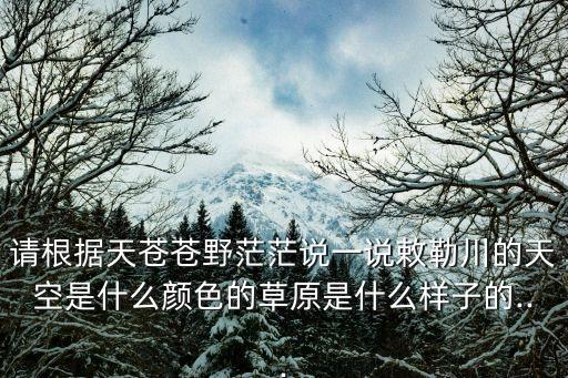 請根據(jù)天蒼蒼野茫茫說一說敕勒川的天空是什么顏色的草原是什么樣子的...