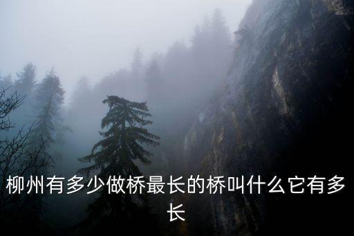柳江大橋,柳江大橋到達柳州市中心