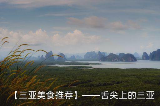 三亞美食攻略,三亞有哪些好吃的東西?