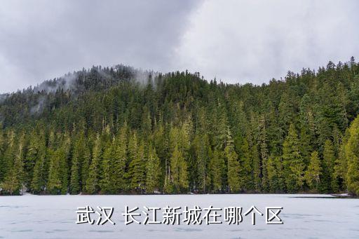 長江新城,武漢新城和長江新城區別