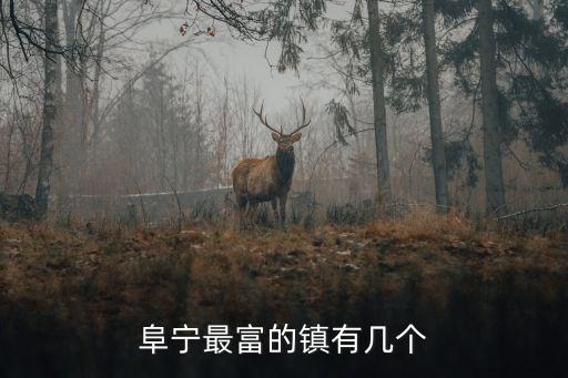 阜寧最富的鎮有幾個