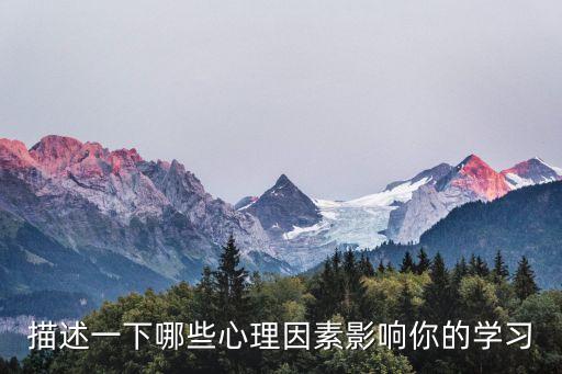 描述一下哪些心理因素影響你的學(xué)習(xí)