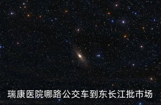瑞康醫(yī)院哪路公交車到東長江批市場