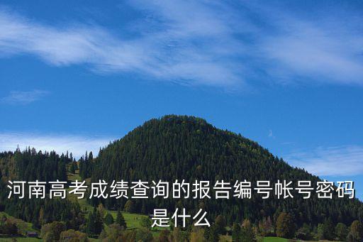 河南高考成績查詢的報告編號帳號密碼是什么