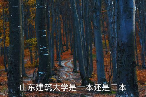 山東建筑大學是一本還是二本