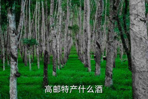秦郵董糖,陜西秦郵董糖是什么來頭?