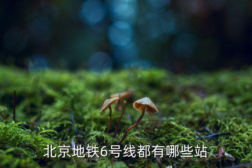 6號(hào)線地鐵,北京地鐵6號(hào)線有哪些站點(diǎn)?