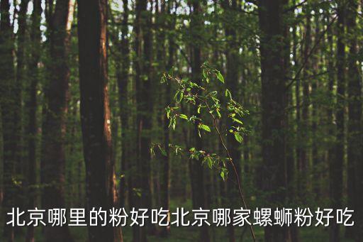 北京哪里的粉好吃北京哪家螺螄粉好吃
