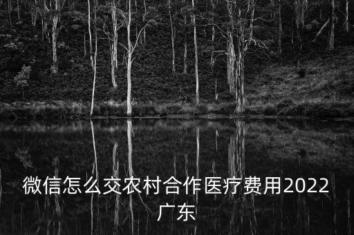 微信怎么交農村合作醫療費用2022廣東