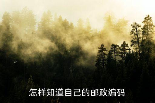 查詢郵政編碼,如何查詢郵政編碼?