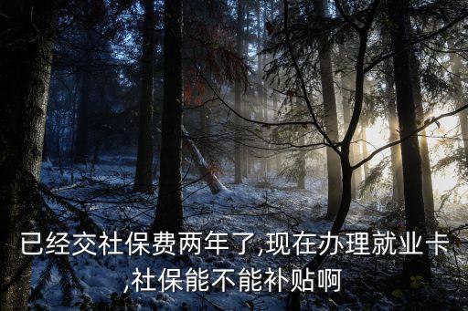 已經(jīng)交社保費兩年了,現(xiàn)在辦理就業(yè)卡,社保能不能補貼啊