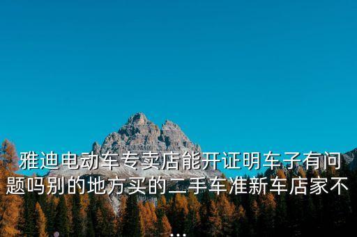 雅迪電動車專賣店,電動車配件在哪買?一文看懂