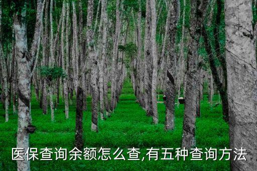 醫保余額怎么查,醫保查詢余額怎么查?五種方法可查詢