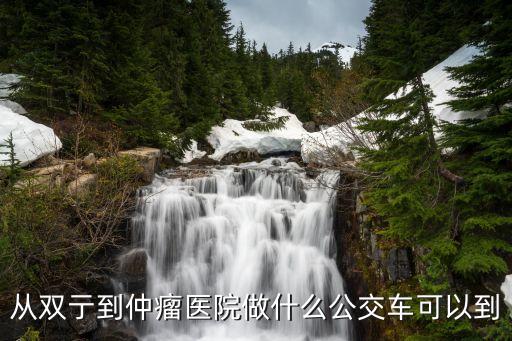725路公交車,從雙到仲瘤醫院做什么公交車?