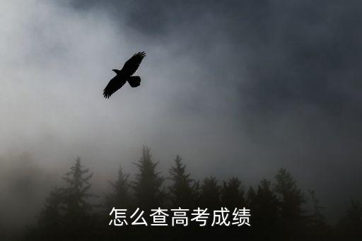 河南省陽光高考,河南高考成績什么時間公布?