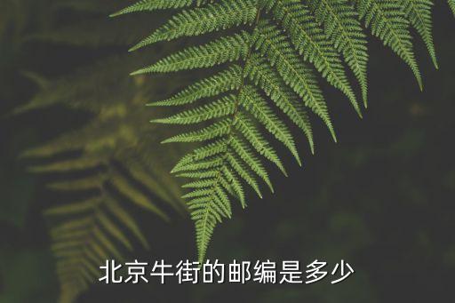 北京牛街在哪個區(qū),逛北京牛街和南鑼鼓巷哪個好玩?