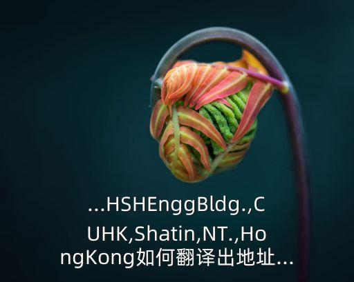 ...HSHEnggBldg.,CUHK,Shatin,NT.,HongKong如何翻譯出地址...