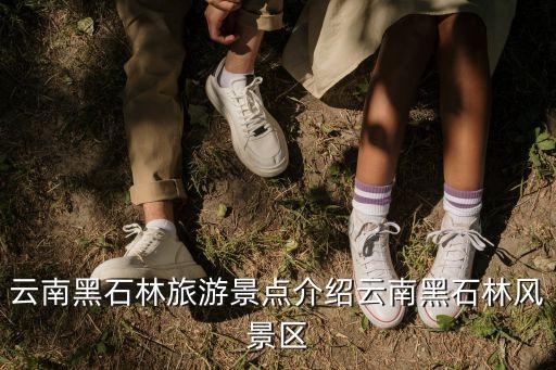 石林風景區(qū)門票價格,石林風景區(qū)門票價格如何?