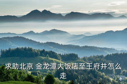 金龍?zhí)?從北京金龍?zhí)洞箫埖曛镣醺趺醋?