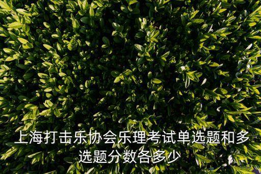 上海打擊樂協會,上海打擊樂協會成立于2004年10月9日