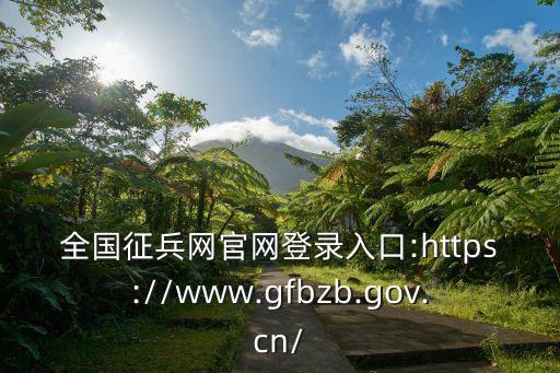 全國征兵網官網登錄入口:https://www.gfbzb.gov.cn/