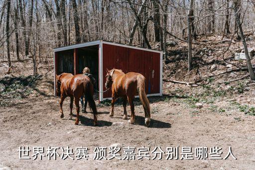 頒獎嘉賓,頒獎典禮:得獎者先上臺頒獎嘉賓再上臺