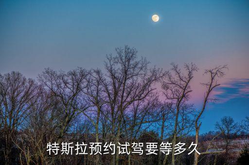 特斯拉預(yù)約試駕要等多久