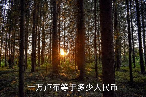 奧幣匯率,冬奧幣、冬奧鈔每人預約兌換限額分別為20套