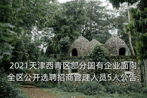 西青開發區,天津西青經濟開發區遠期規劃面積為13019平方公里