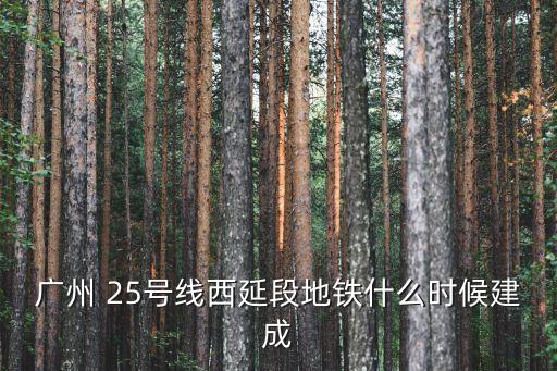 廣州 25號線西延段地鐵什么時候建成