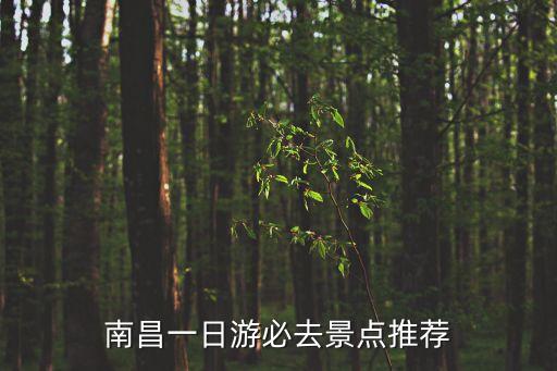 滕王閣夜景,滕王閣夜景比白天更美?
