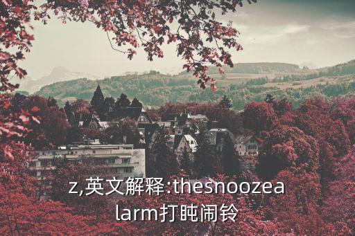 shz,英文解釋:thesnoozealarm打盹鬧鈴