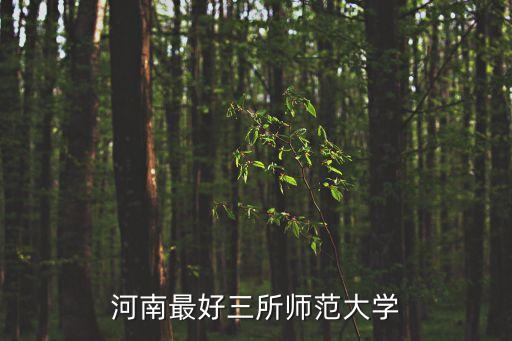 新鄉(xiāng)師范學(xué)院,新鄉(xiāng)有哪些大學(xué)本科院校?